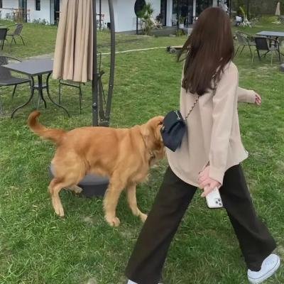 美妙旋律第九季